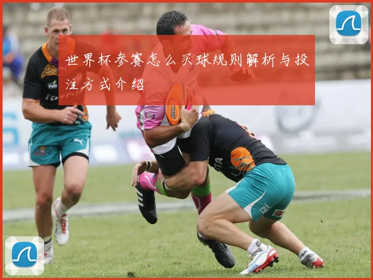 世界杯参赛怎么买球规则解析与投注方式介绍