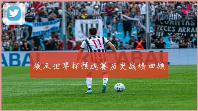 埃及世界杯预选赛历史战绩回顾