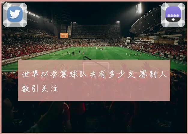 世界杯参赛球队共有多少支 赛制人数引关注